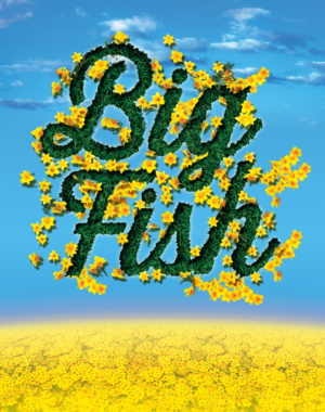 Big Fish_Key Art