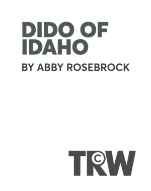 web-newAE-dido-idaho